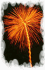 Feuerwerk